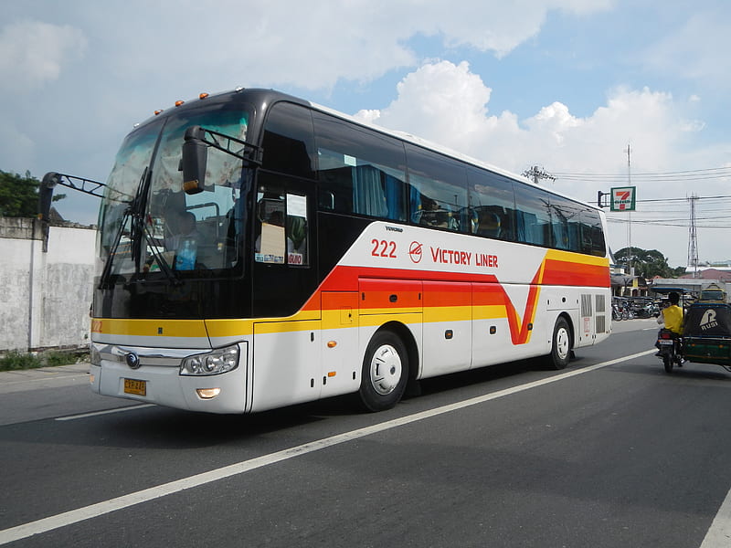 yutong bus, buidling, street, yutong, bus, HD wallpaper