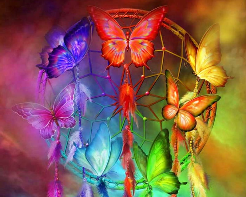 28000 Rainbow Butterfly Wallpaper Pictures