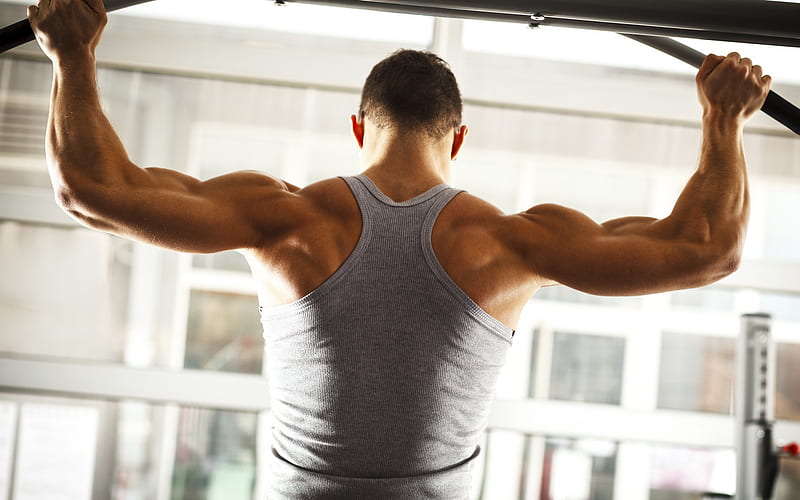 gym, fitness, pull-up on the bar, back muscles, workout, pumping back muscles, shoulder exercise, HD wallpaper
