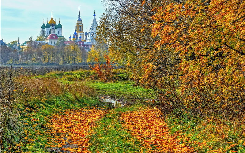 Fall, old, green, autumn, trees, nature, folliage, orange, city, HD wallpaper