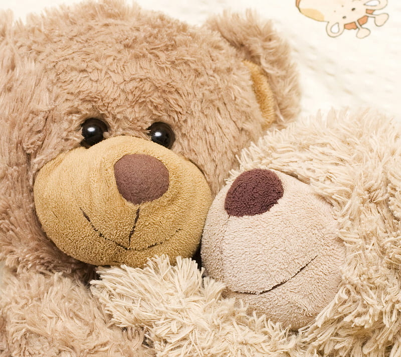 teddy bear love, awesome, bonito, feeling, hugg, lobe, nice, teddy bear, HD wallpaper
