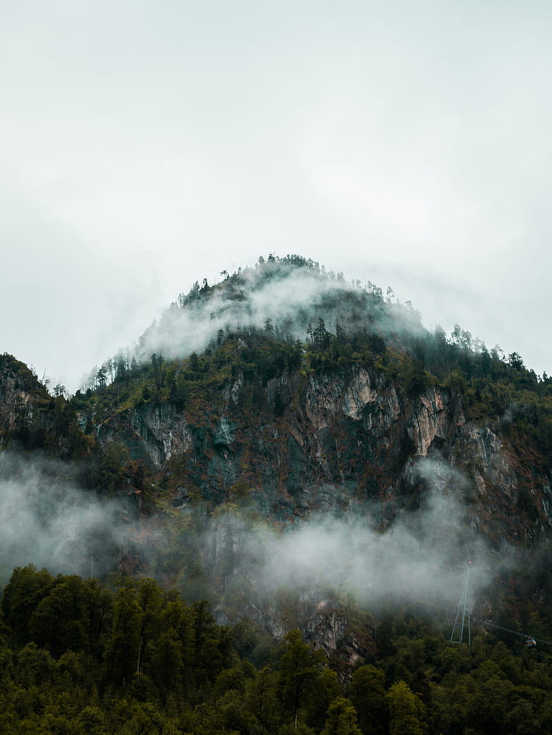 fog, peak, forest, rocks, mountains, HD phone wallpaper
