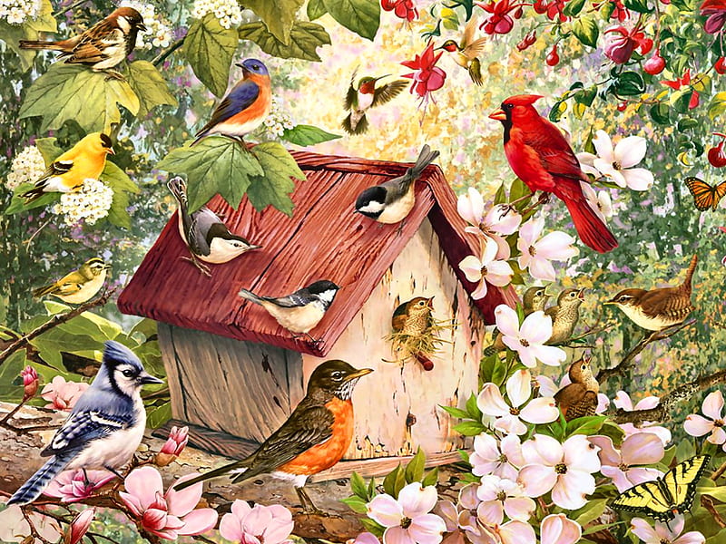 Birdhouse F, robin, hummingbirds, sparrows, bonito, illustration, artwork, bluebird, animal, dogwood, chickadees, butterfly, painting, wide screen, art, tulip tree, nuthatch, bird, avian, wrens, wildlife, blue jay, goldfinch, cardinal, HD wallpaper