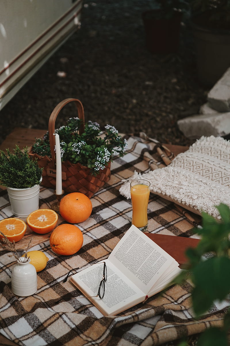 picnic, book, orange, flowers, HD phone wallpaper