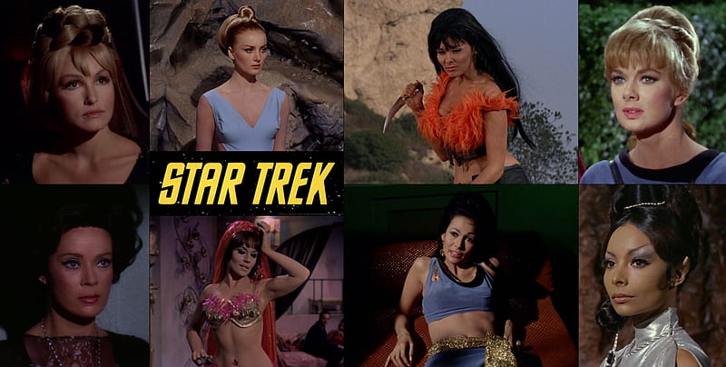 Women from Star Trek The Original Series Season Two, Kara, BarBara Luna, Barbara Bouchet, Nona, Nancy Kovack, Women of Star Trek, HD wallpaper