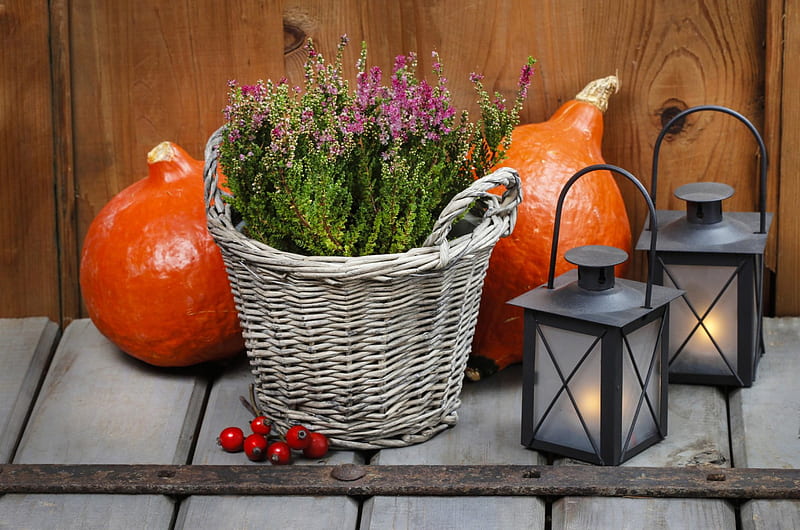 Autumn, candle, lanterns, red heather, still life, berries, wicker basket, light, wood, pumpkins, HD wallpaper