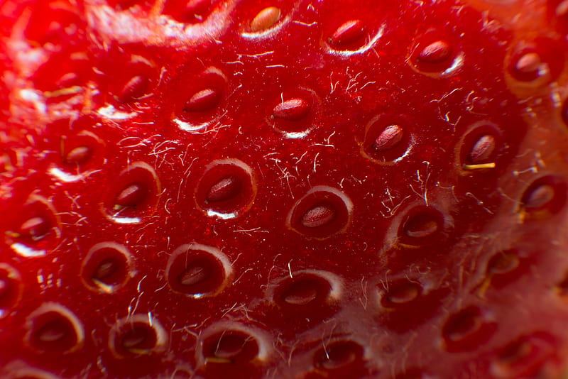 Strawberry, red, vara, capsuna, texture, summer, skin, macor, HD wallpaper