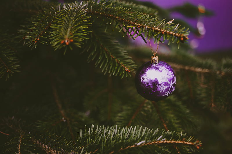 tree, decoration, ball, purple, holiday, HD wallpaper