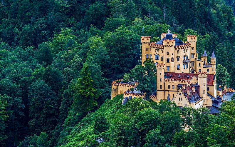 Hohenschwangau Castle, Germany, colorful, forest, germany, castle, HD wallpaper
