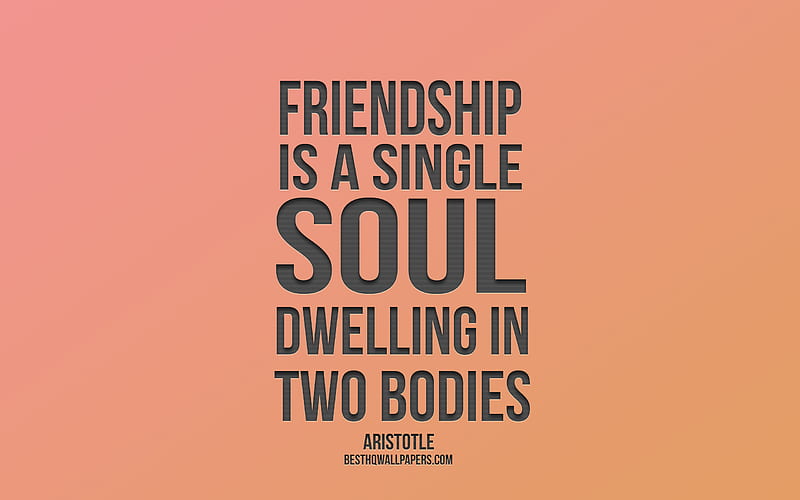 Friendship is a single soul dwelling in two bodies, Aristotle quotes, popular friendship quotes, orange background, minimalism style, HD wallpaper