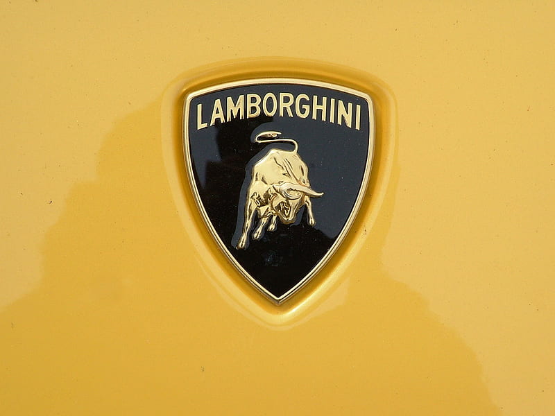 Lamborghini Gallardo - Bats - Reventon BEAUTIFUL 24, HD wallpaper