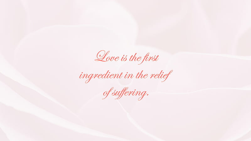 Love Is The First Ingredient In The Relief Of Suffering Love Quotes, HD wallpaper