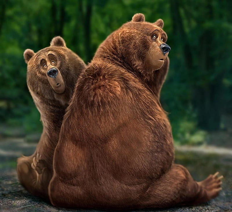 Funny bears, brown, silly, bear, beasts, aaron blaise, green, funny, face, couple, HD wallpaper