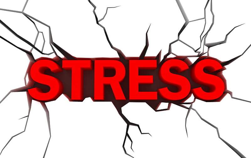 Stress, world, life, people, work, other, HD wallpaper