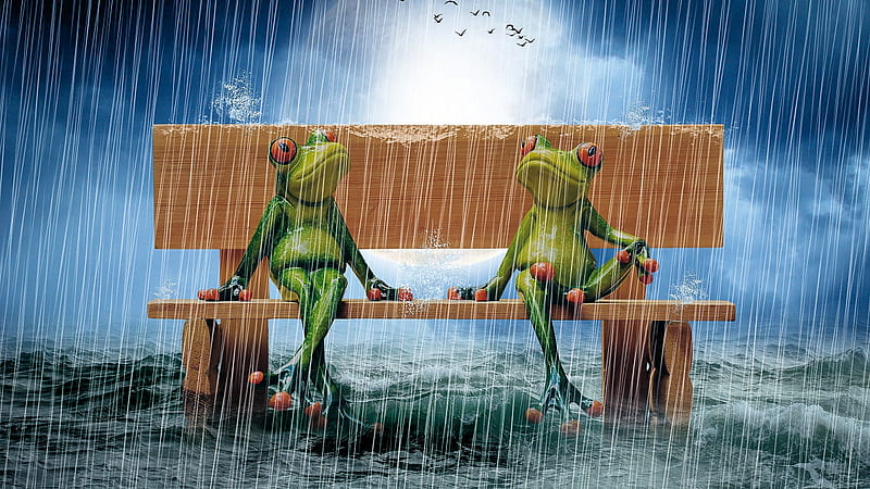 Rain Resistant, water, sky, art, frogs, bench, clouds, HD wallpaper