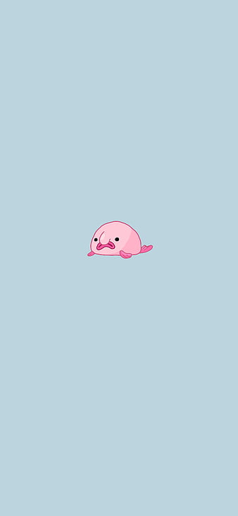 HD blobfish wallpapers | Peakpx