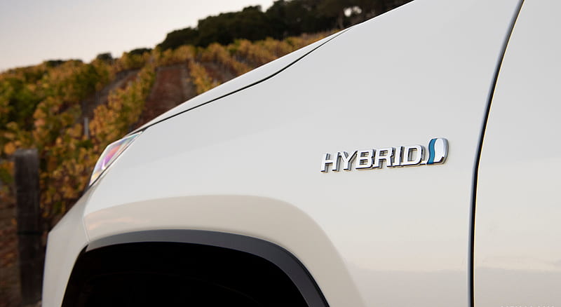 2019 Toyota RAV4 Hybrid XLE (Color: Blueprint) - Detail , car, HD wallpaper