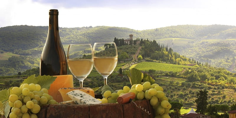 Tuscanny Foods, hills, grapes, vinyard, wine, cheese, landscape, HD wallpaper
