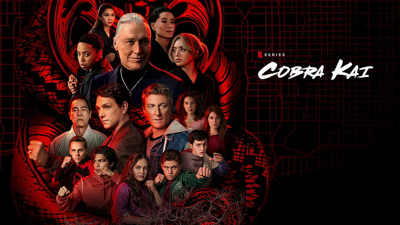 TV Show, Cobra Kai, HD wallpaper