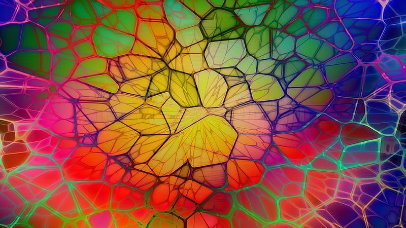 Artistic Colorful Web, HD wallpaper
