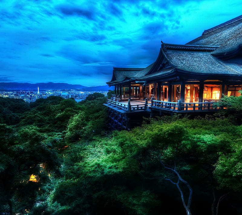 Treetops japan, night, skyline, treetop, HD wallpaper