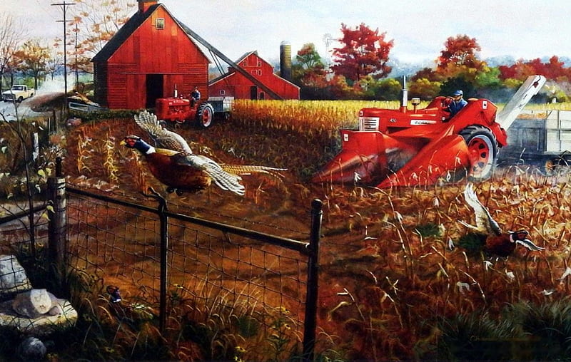 Autumn Flush, countryside, harvester, tractor, painting, pheasants, artwork, field, barn, HD wallpaper