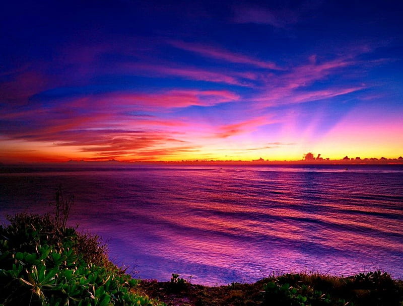 Amazing Sky Pretty Colorful Riverbank Shore Grass Bonito Sunset