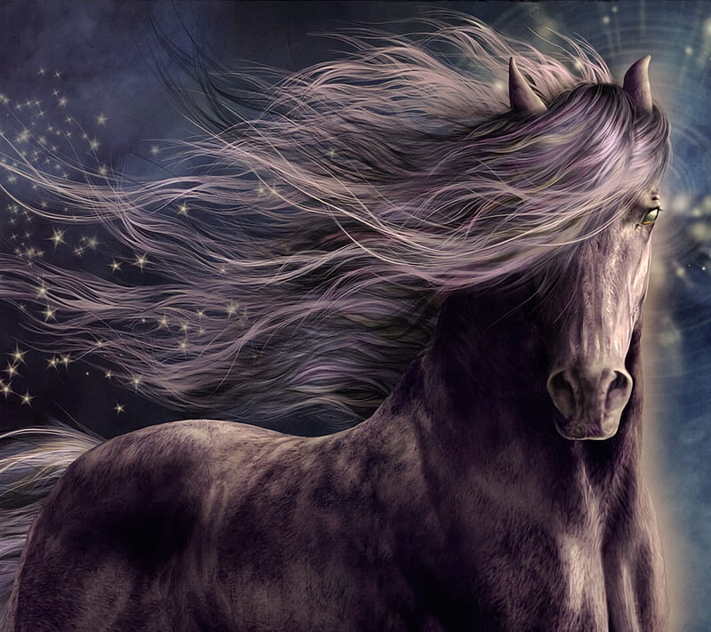 Horse, fantasy, HD wallpaper