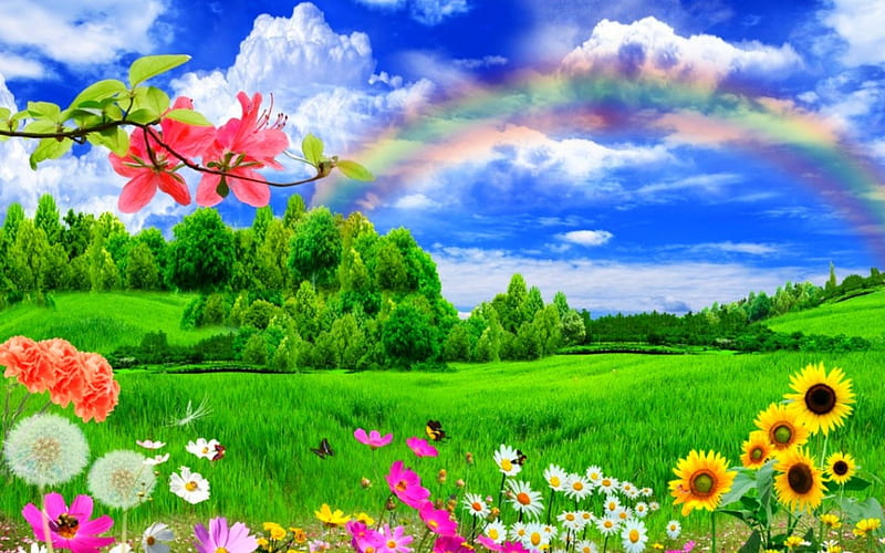 Wonderland, grass, flowers, nature, rainbow, sky, HD wallpaper