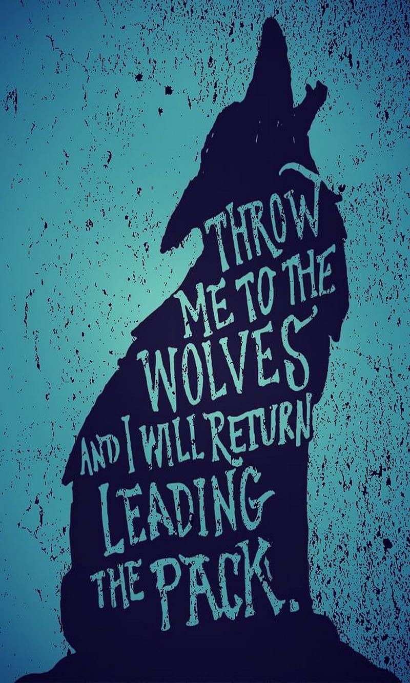 Wolves, leading, pack, throw, HD phone wallpaper
