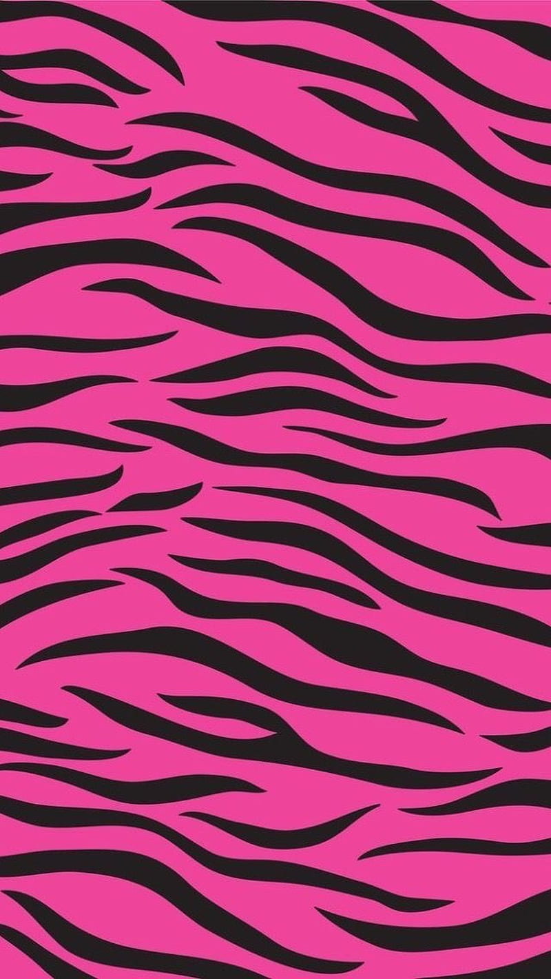 Pink Zebra, pink, zebra, HD phone wallpaper