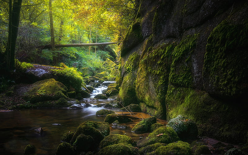 Earth, Stream, Moss, Nature, River, Stone, HD wallpaper