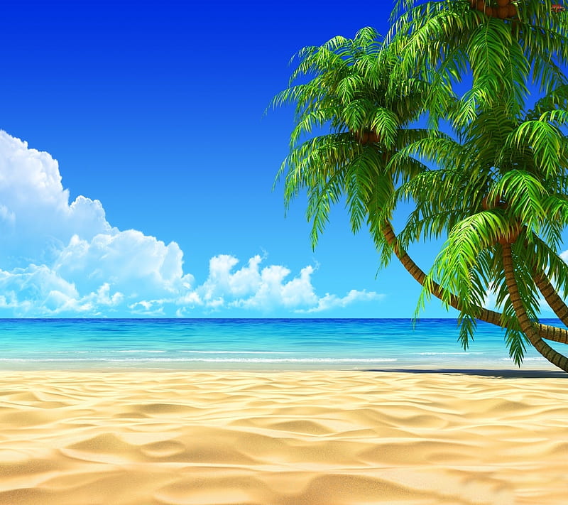 Summer beach, cool, fresh, nature, nice, scene, sea, view, HD wallpaper |  Peakpx