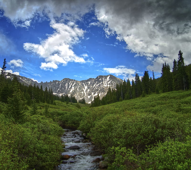 Glorious View, earthporn, forest, nature, outdoors, tree, zarborday, HD wallpaper