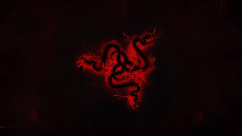Download Razer wallpapers, virtual backgrounds, and videos | Razer United  States