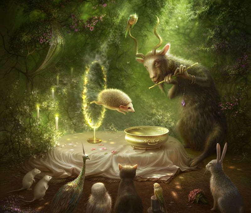 Spettacolo, art, luminos, cornacchia art, animal, fantasy, hedgehog, green, goat, cornacchiaart, bunny, HD wallpaper