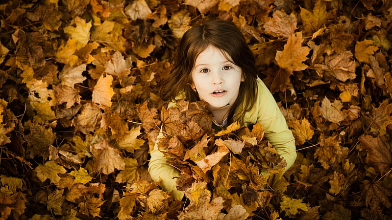 playing with laves, kid, browm, nice, leaves, girl, yellow, child, HD wallpaper