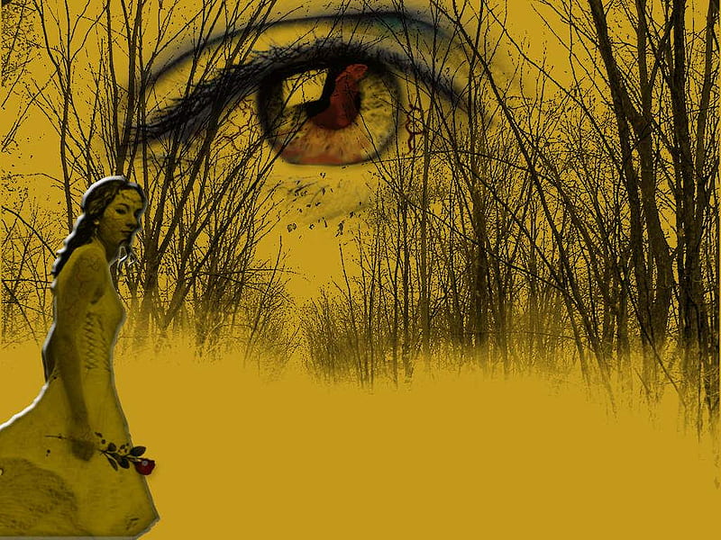 The Eye Sees All, pretty, rose, woods, yellow, trees, woman, red rose, forst, brown eye, gothic, HD wallpaper