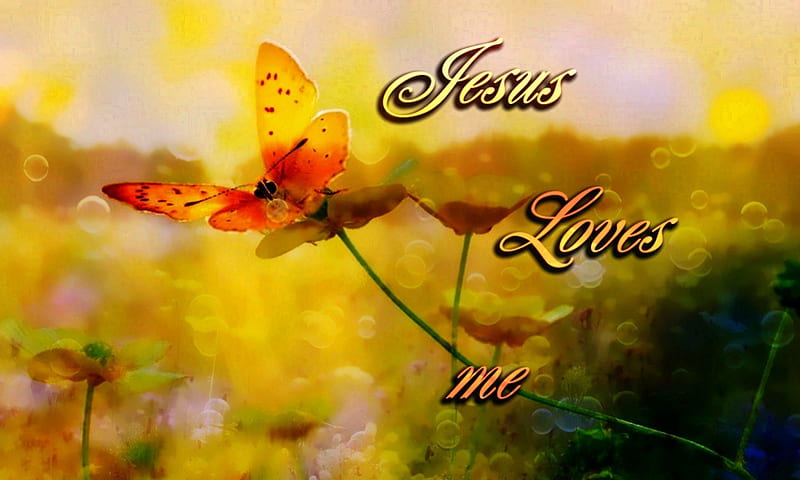 Jesus Loves me, jesus, love, scriptures, flowers, nature, butterflies, god, holy spirit, HD wallpaper