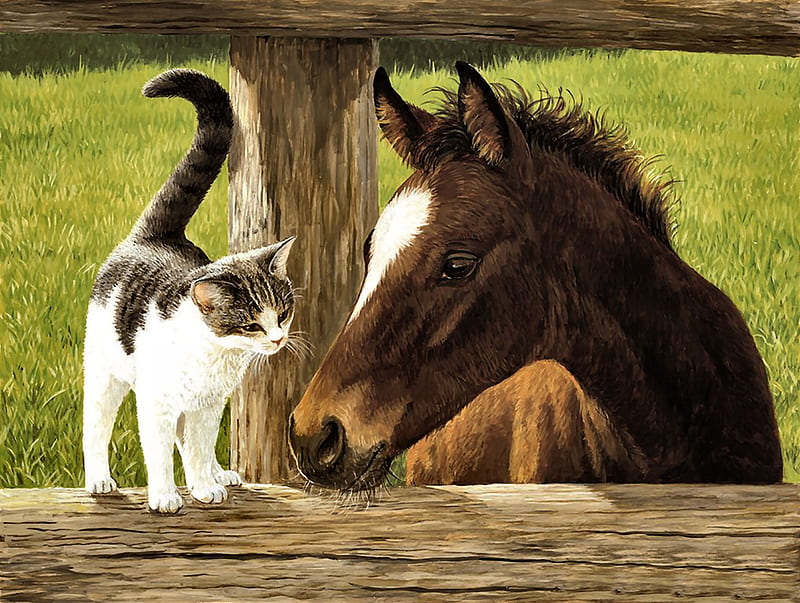 Whiskery Hello FC, art, equine, bonito, horse, pets, artwork, animal, feline, painting, wide screen, cats, Weirs, HD wallpaper