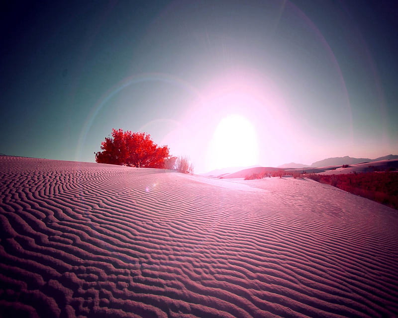 Purple Desert, dawn, sand, sunrise, twilight, HD wallpaper