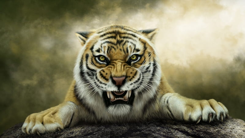 Fierce Tiger, claws, paws, tiger, fierce, cat, teeth, HD wallpaper
