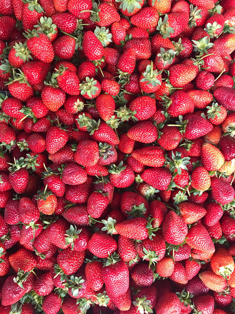 strawberry, berries, red, ripe, HD phone wallpaper