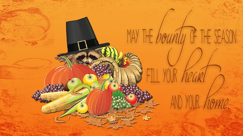 Sharing the Bounty, Fruit, Raccoon, Squash, Pilgrim hat, Corn, Orange, Cornucopia, Thanksgiving, Pumpkins, HD wallpaper