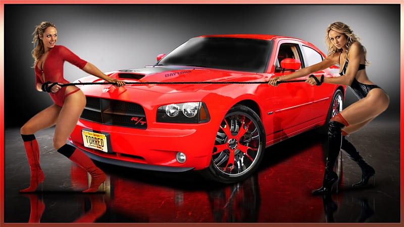 Horse Play, auto, models, car, play, HD wallpaper Horse Play, auto, models, car, play, HD wallpaper