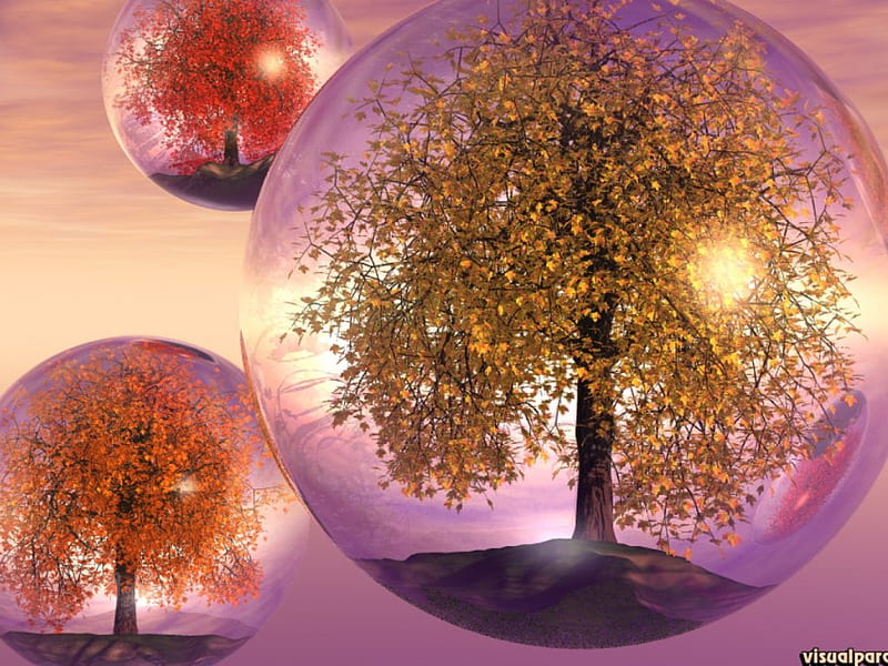 Tree Speres, 3d, balls, suspended, floating, spheres, globes, trees, sky, HD wallpaper