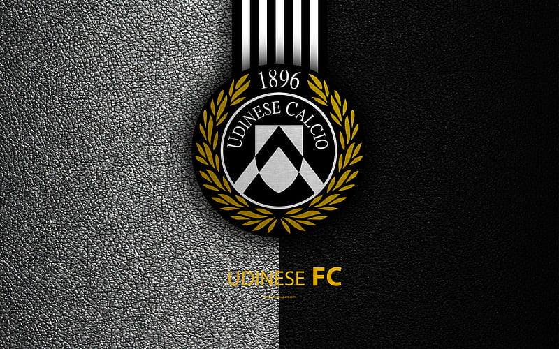 Udinese FC Italian football club, Serie A, emblem, logo, leather texture, Udine, Italy, Italian Football Championships, HD wallpaper