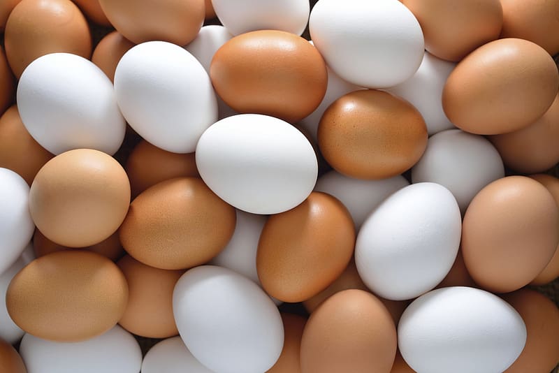 Eggs, egg, white, brown, skin, texture, easter, food, HD wallpaper