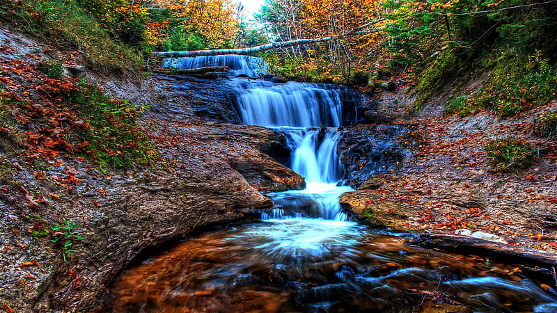 Cool Water, fallen, stream, autumn, tree, flowing, bonito, cascade, HD wallpaper