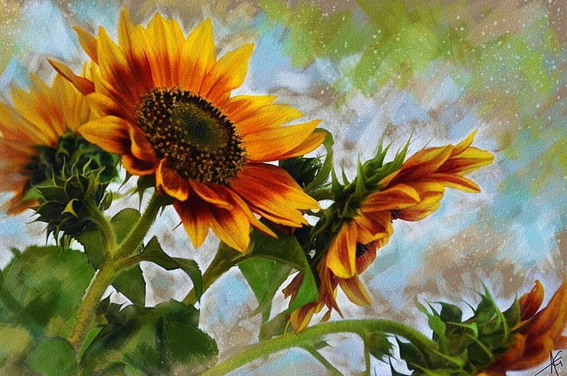 Sunflower art HD wallpapers | Pxfuel